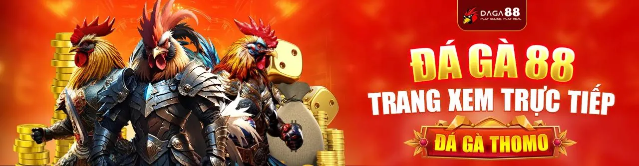 Sân đấu đá gà trực tuyến kịch tính tại ZALV